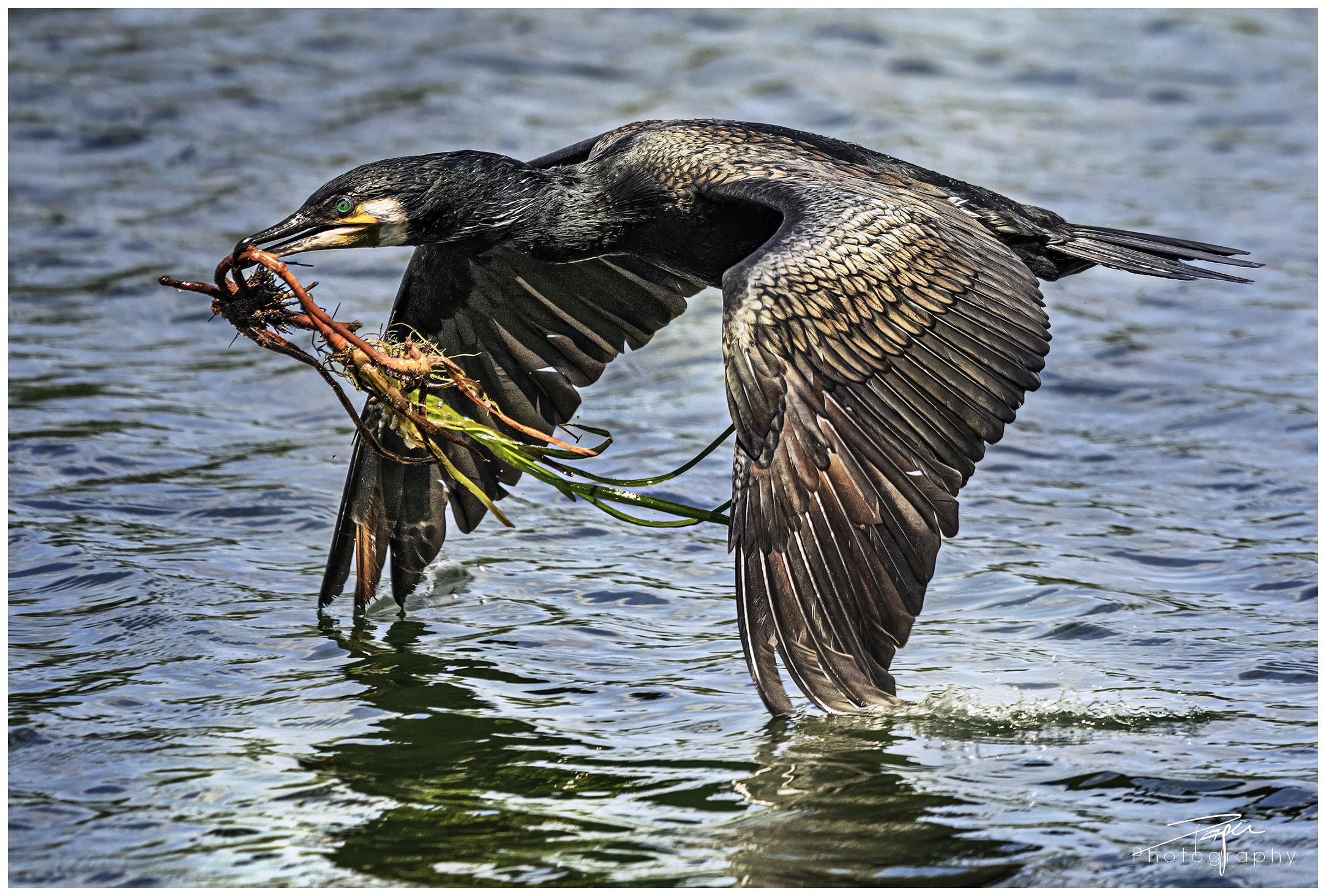 13.05.2024- Frühling