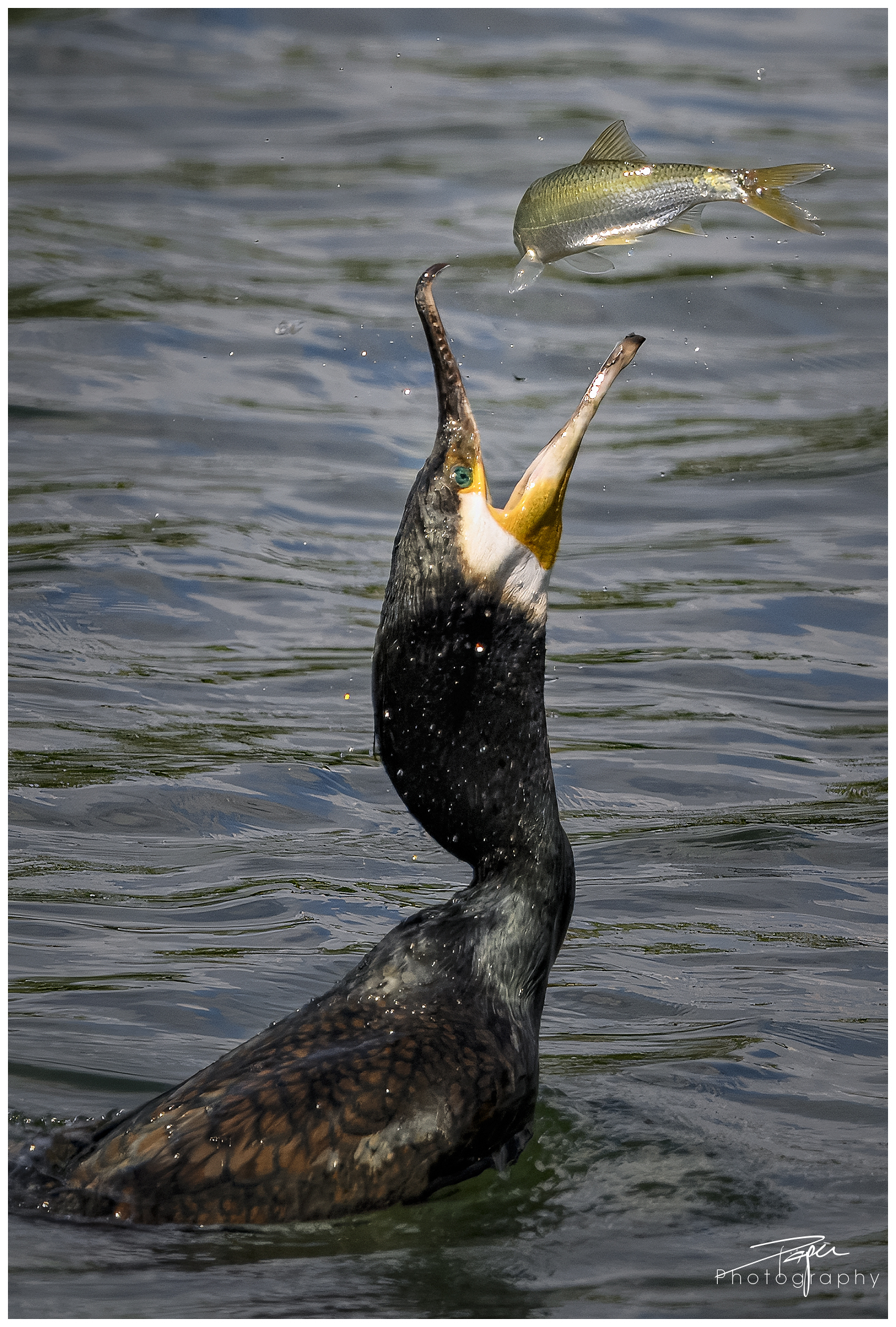 13.05.2024- Frühling