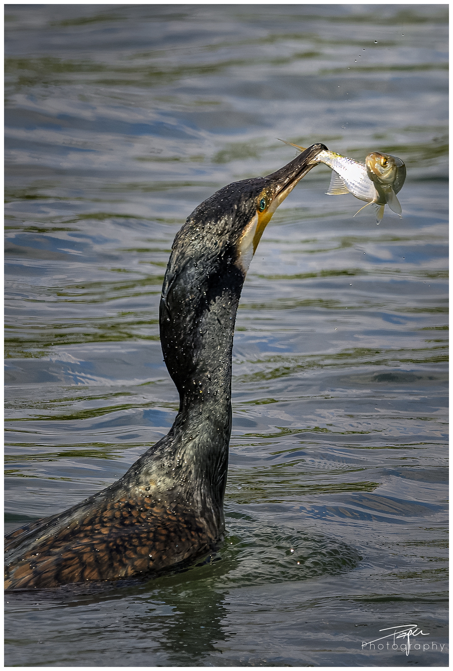 13.05.2024- Frühling
