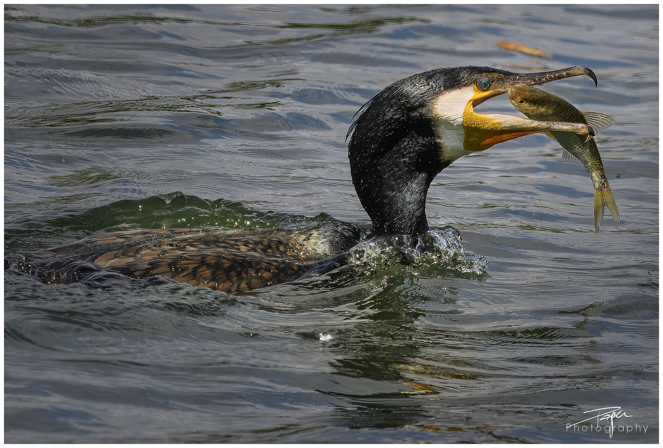 13.05.2024- Frühling