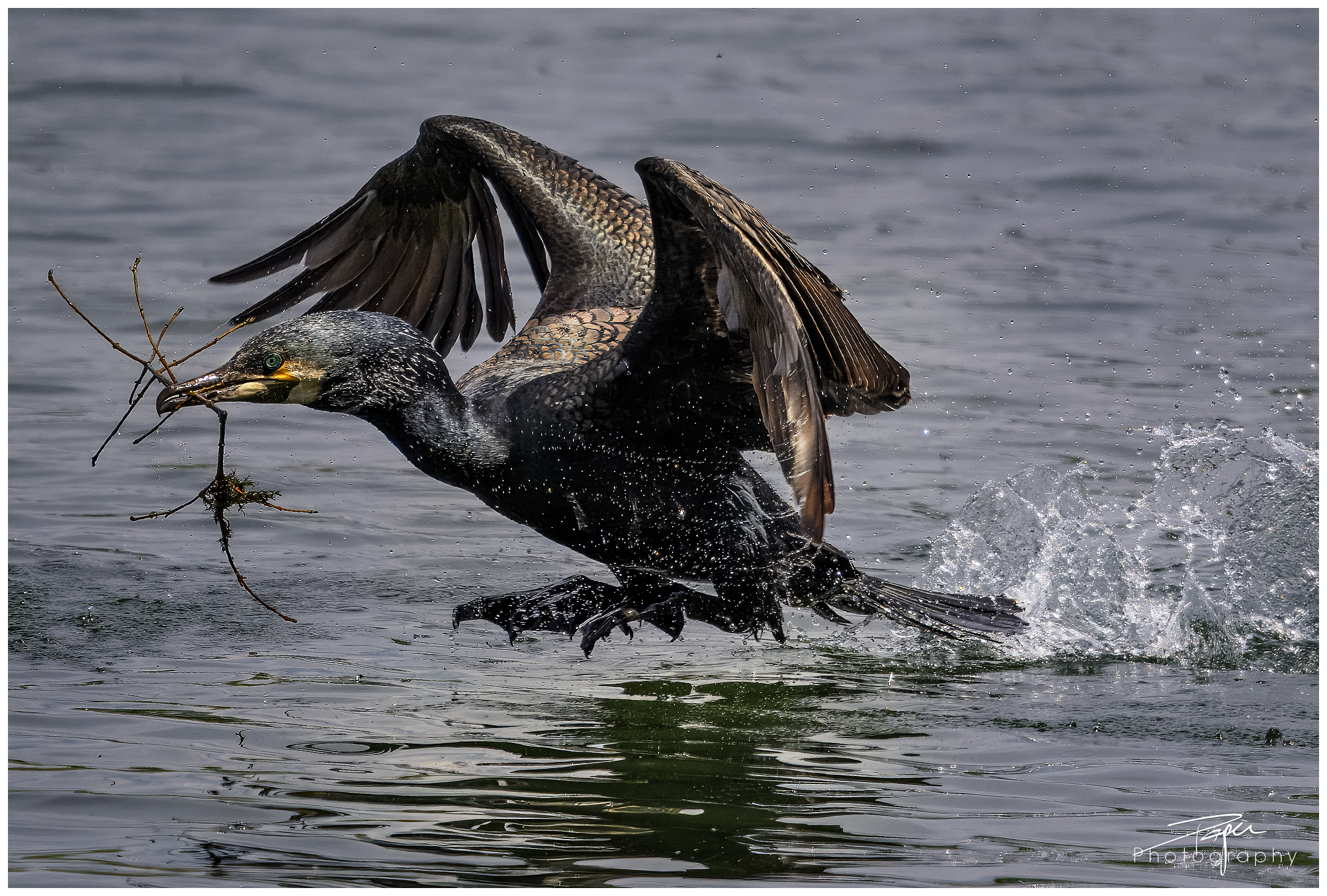 13.05.2024- Frühling