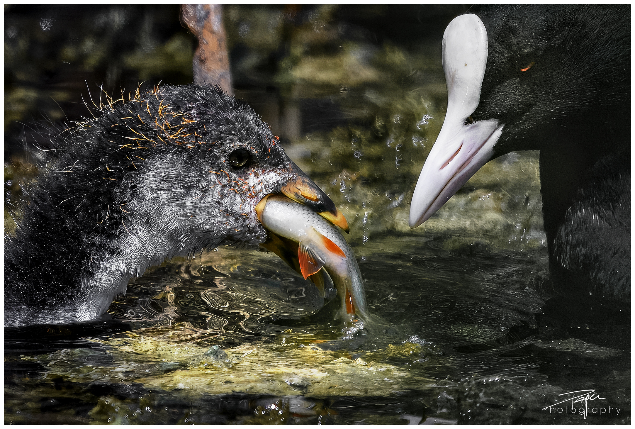 14.05.2024- Frühling