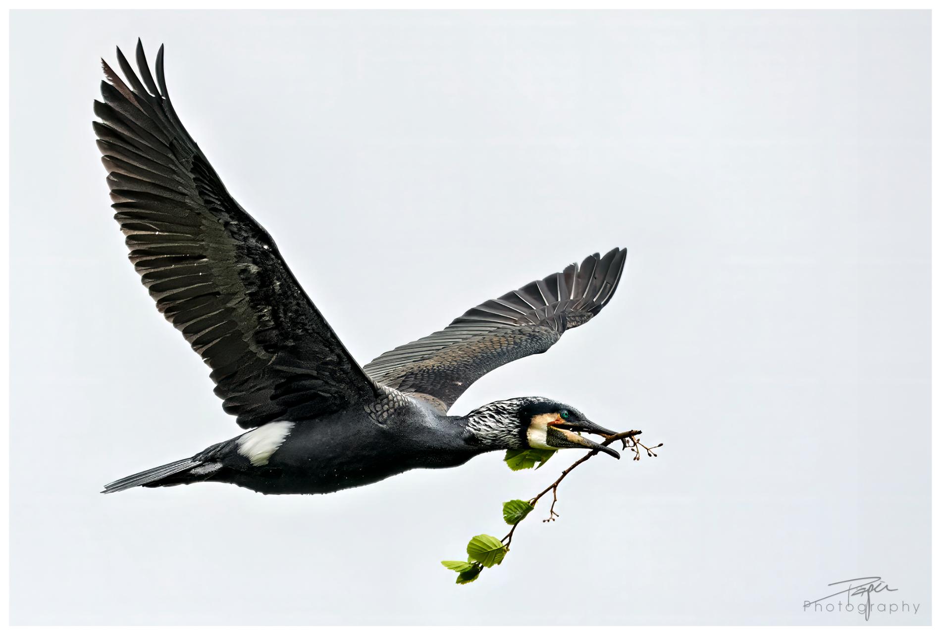 16.04.2024- Frühling