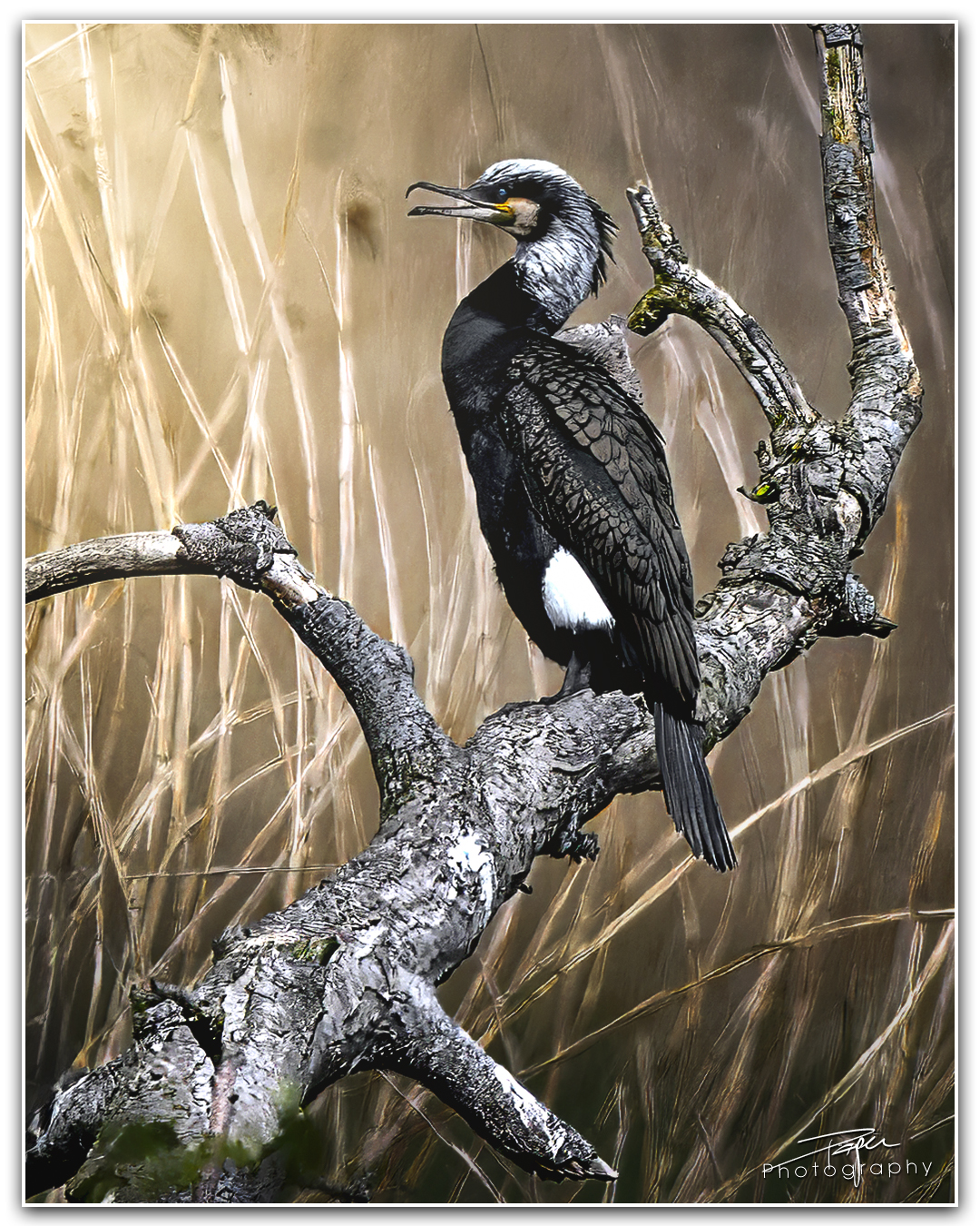 16.04.2024- Frühling