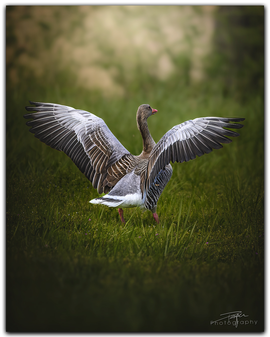 16.04.2024- Frühling