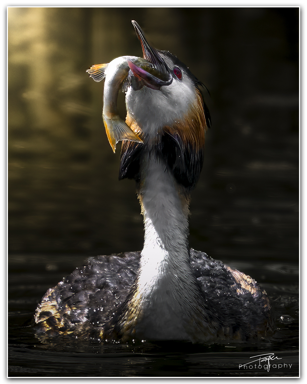 18.04.2024- Frühling