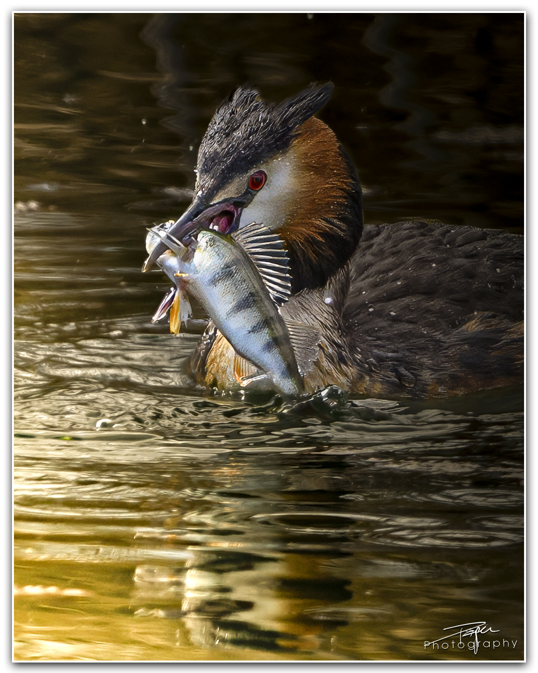 18.04.2024- Frühling