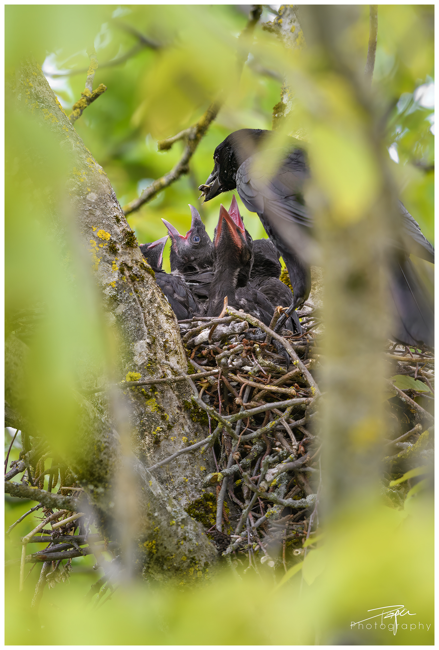 20.05.2024- Frühling