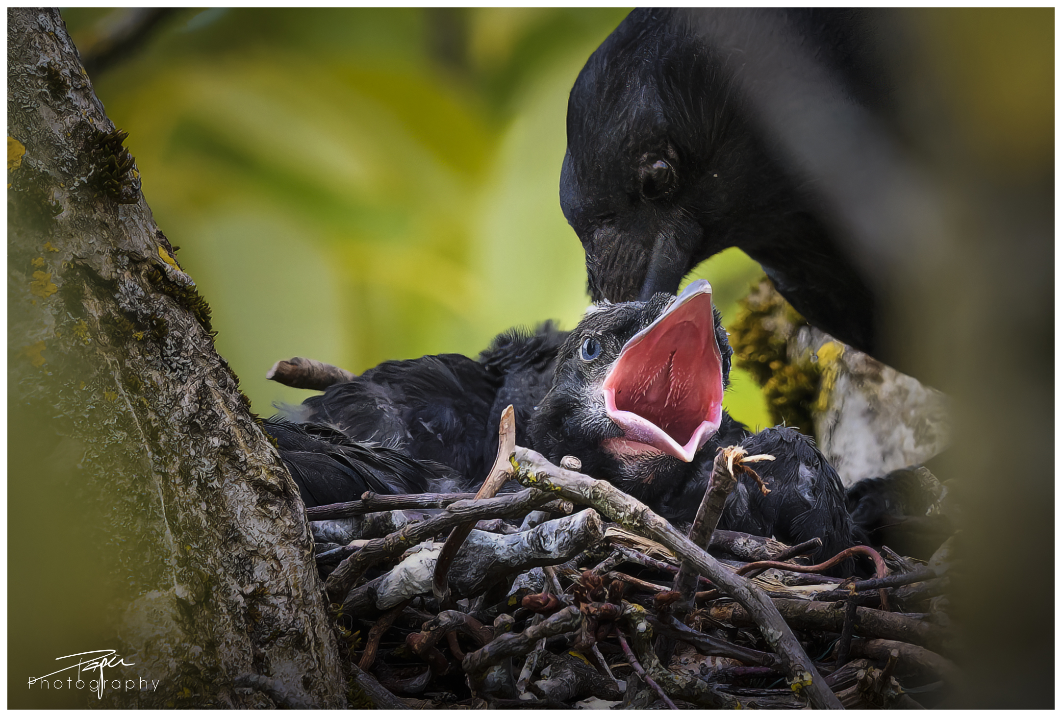 20.05.2024- Frühling