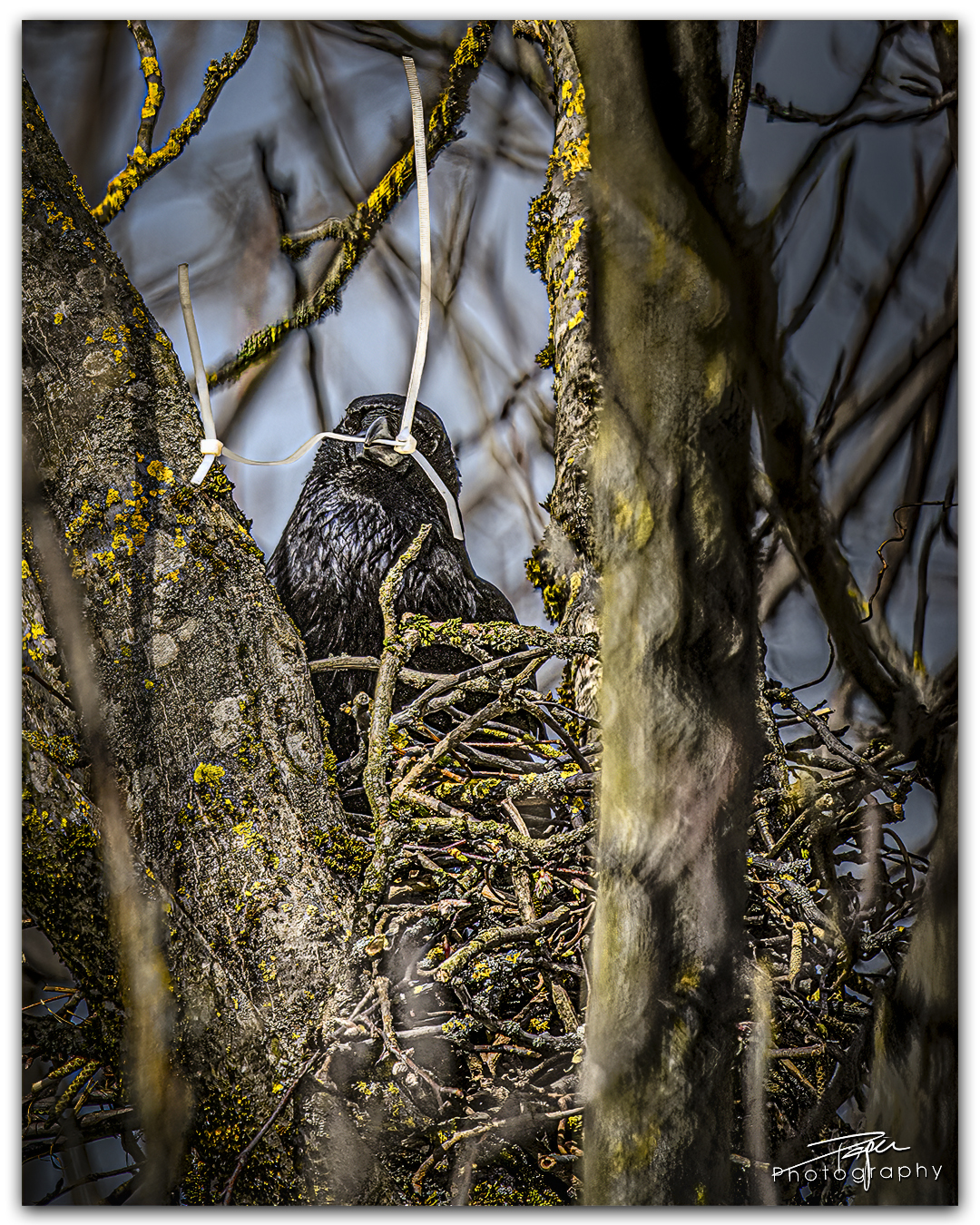 21.03.2024- Frühling