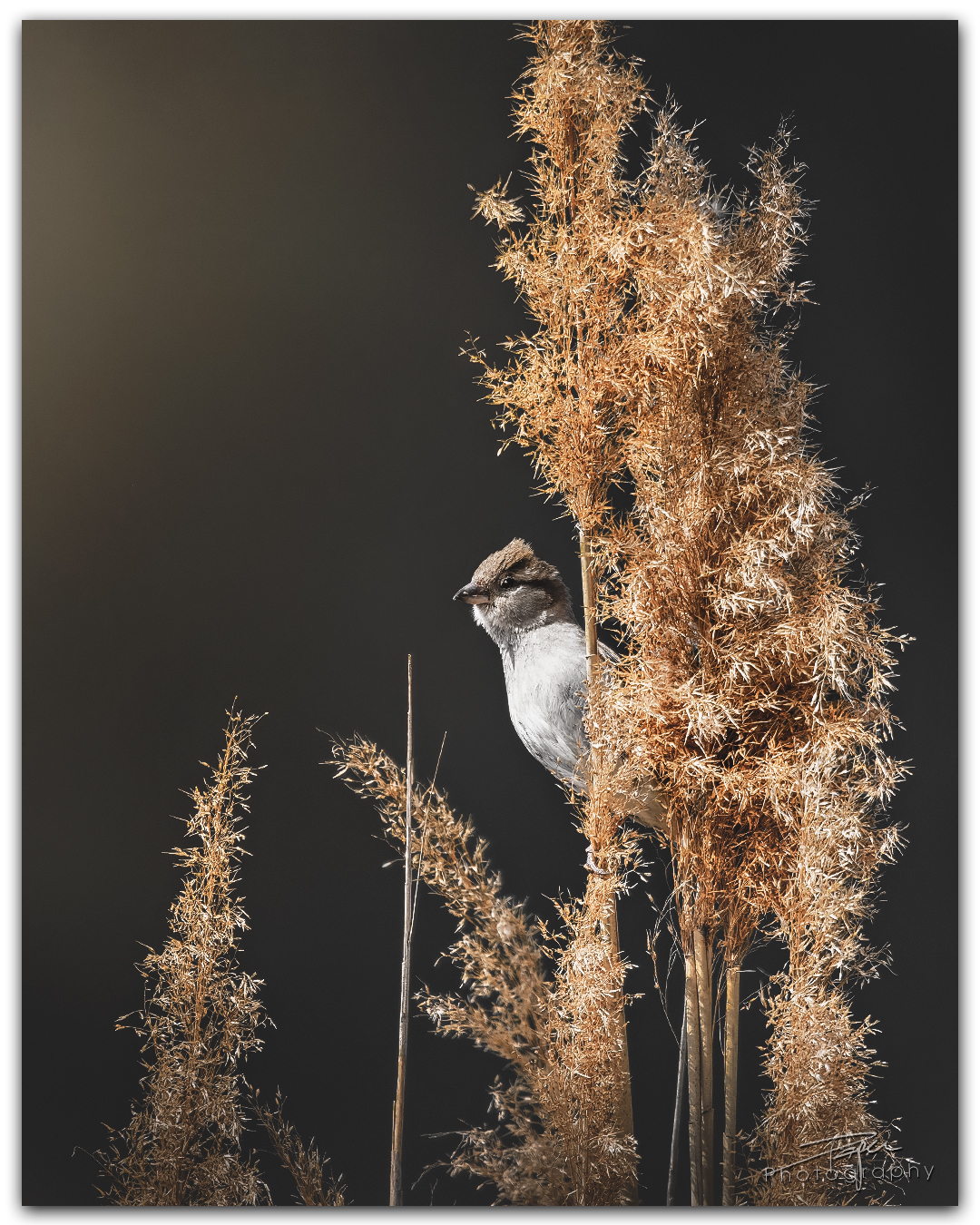 24.04.2024- Frühling