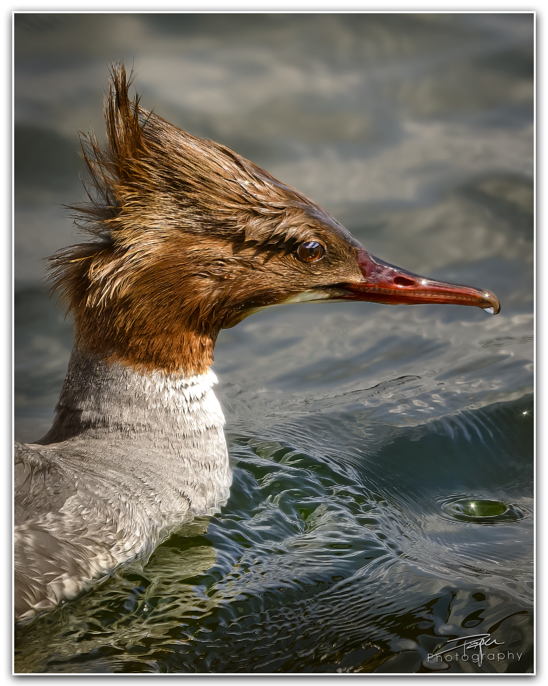 24.04.2024- Frühling