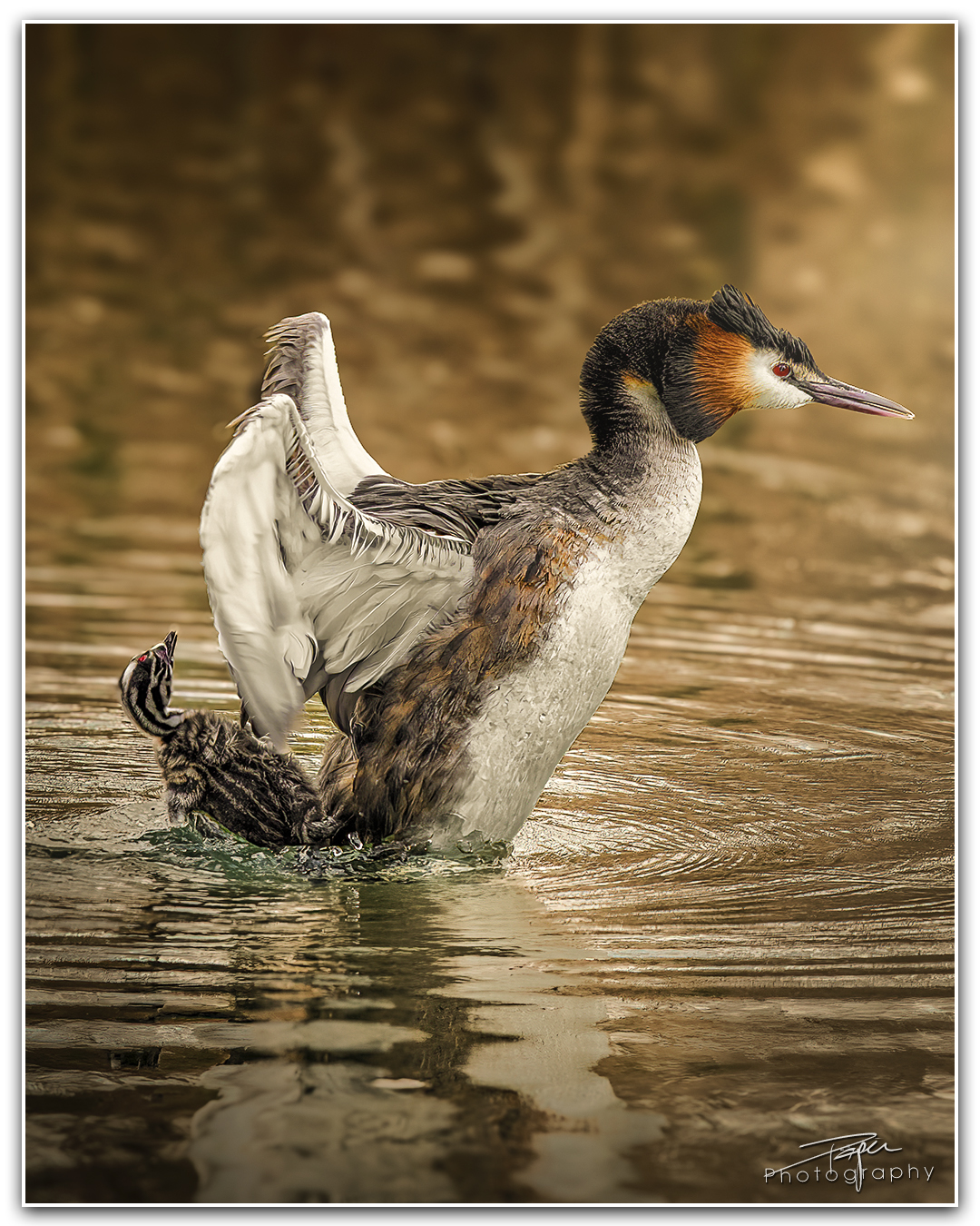 26.03.2024- Frühling
