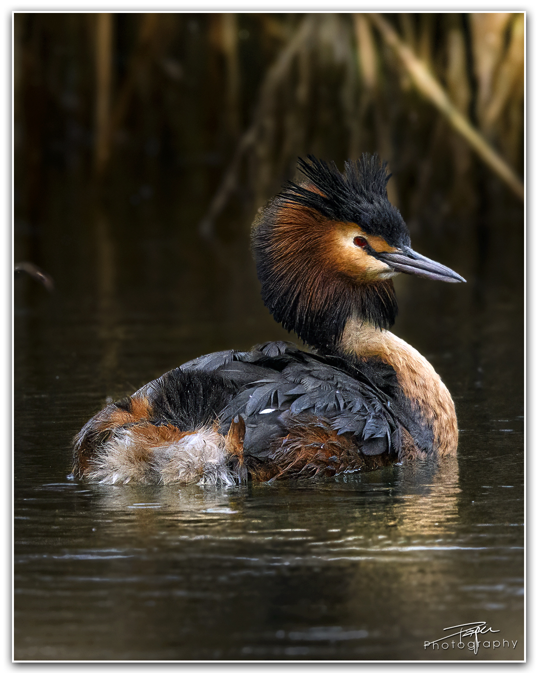 27.03.2024- Frühling