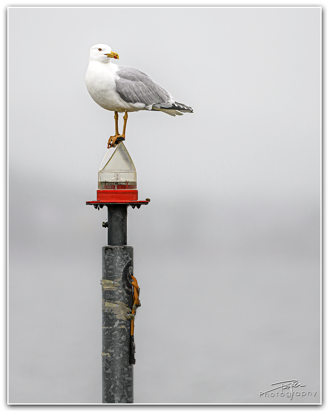 27.04.2024- Frühling