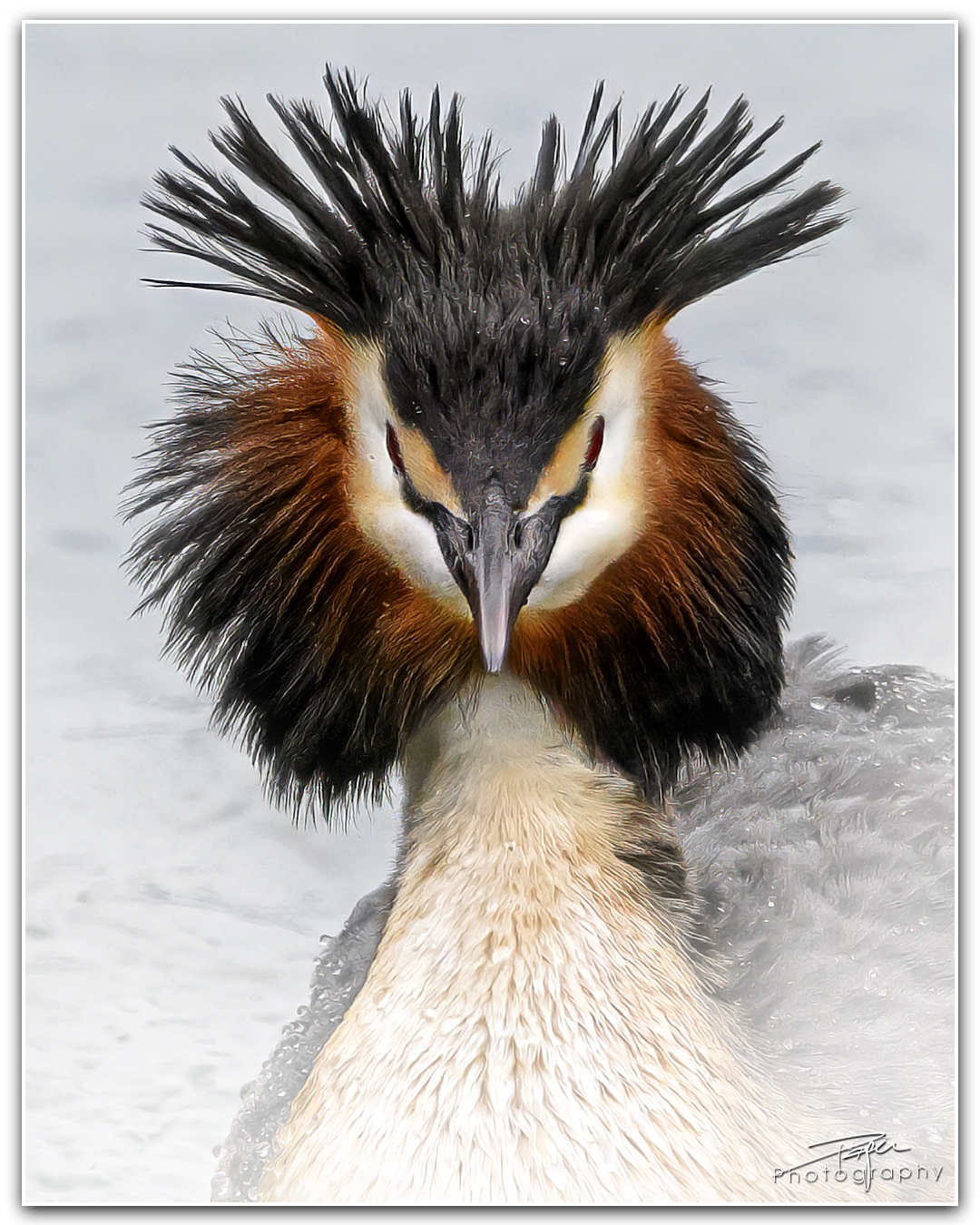 27.03.2024- Frühling