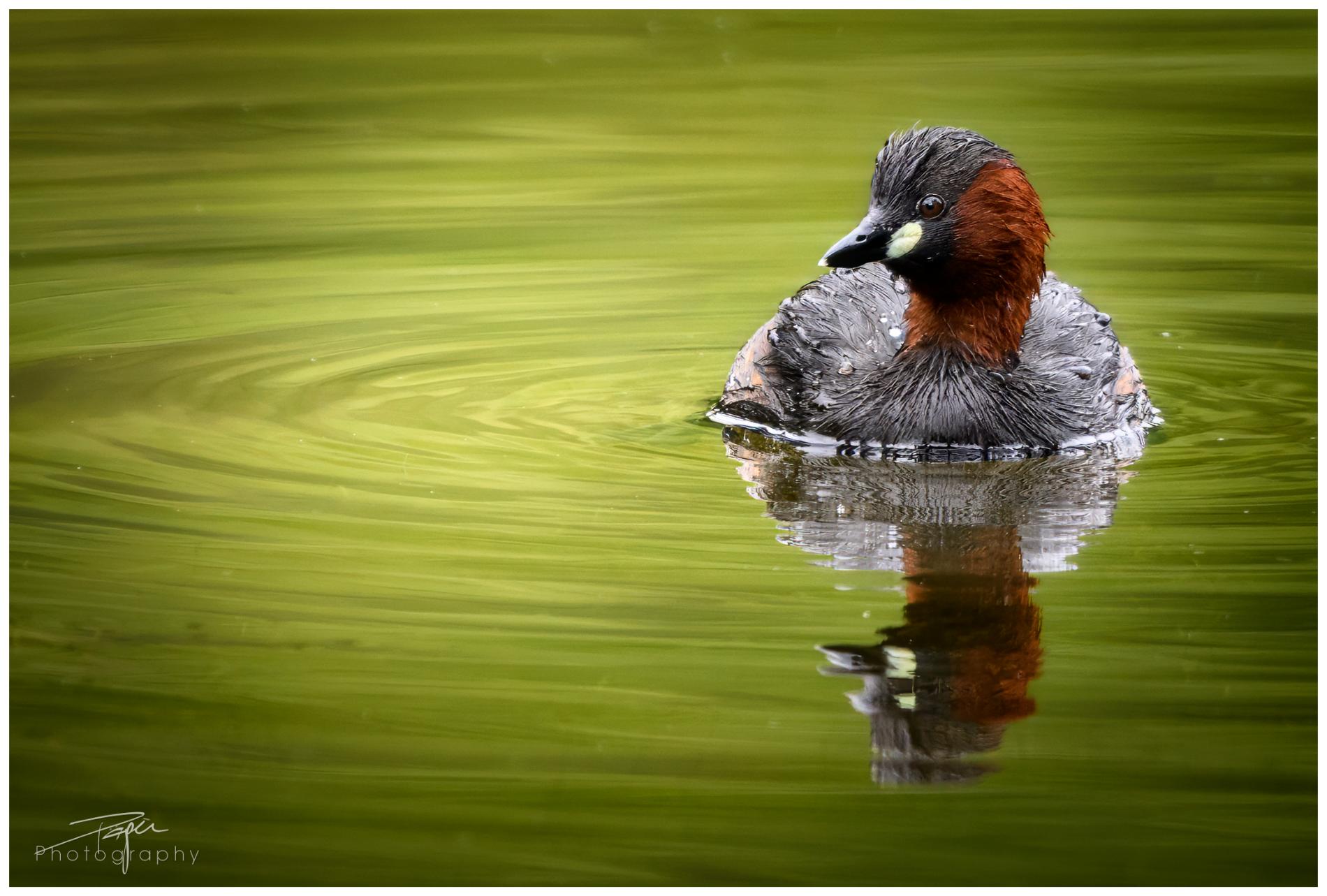 28.05.2024- Frühling