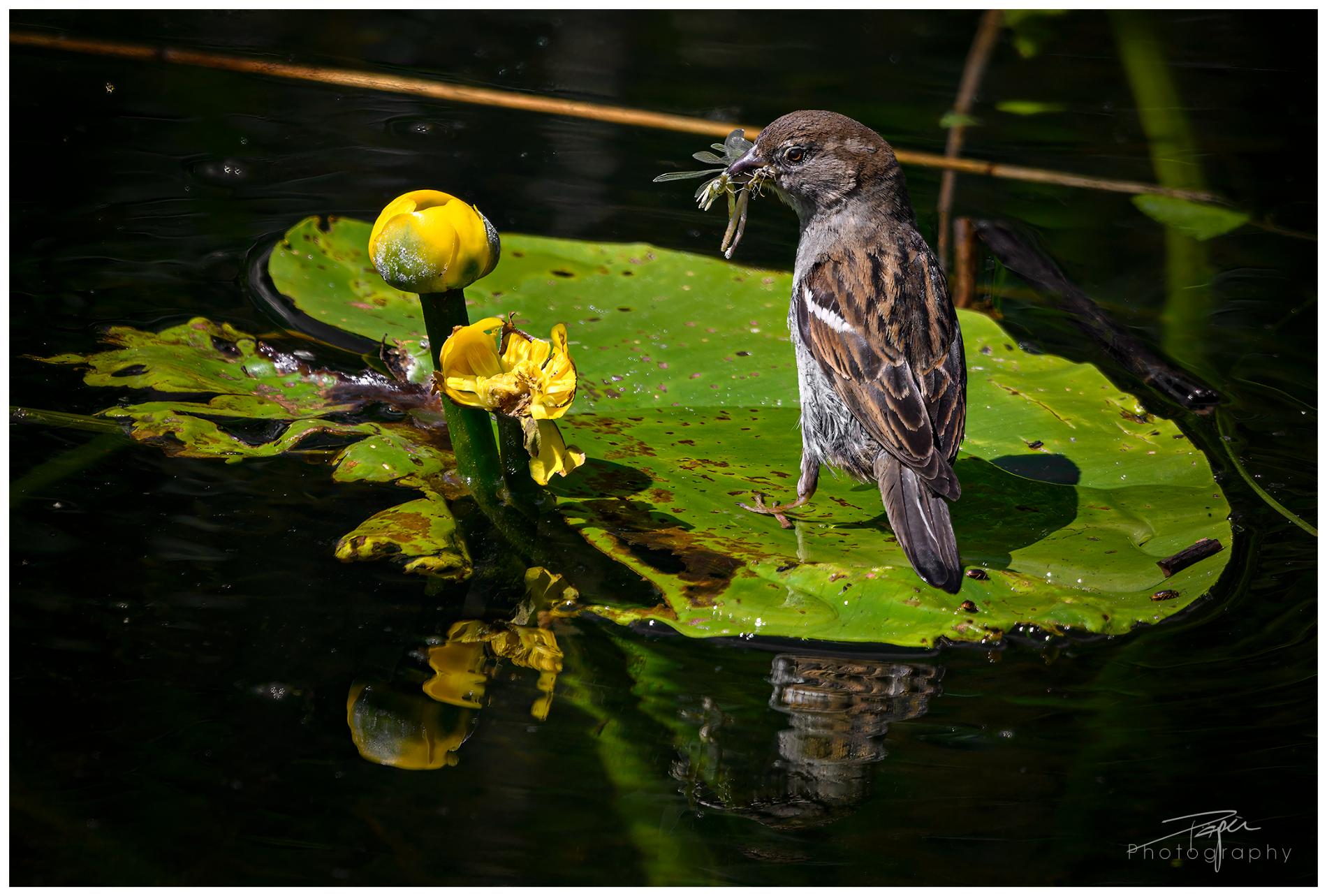 28.05.2024- Frühling
