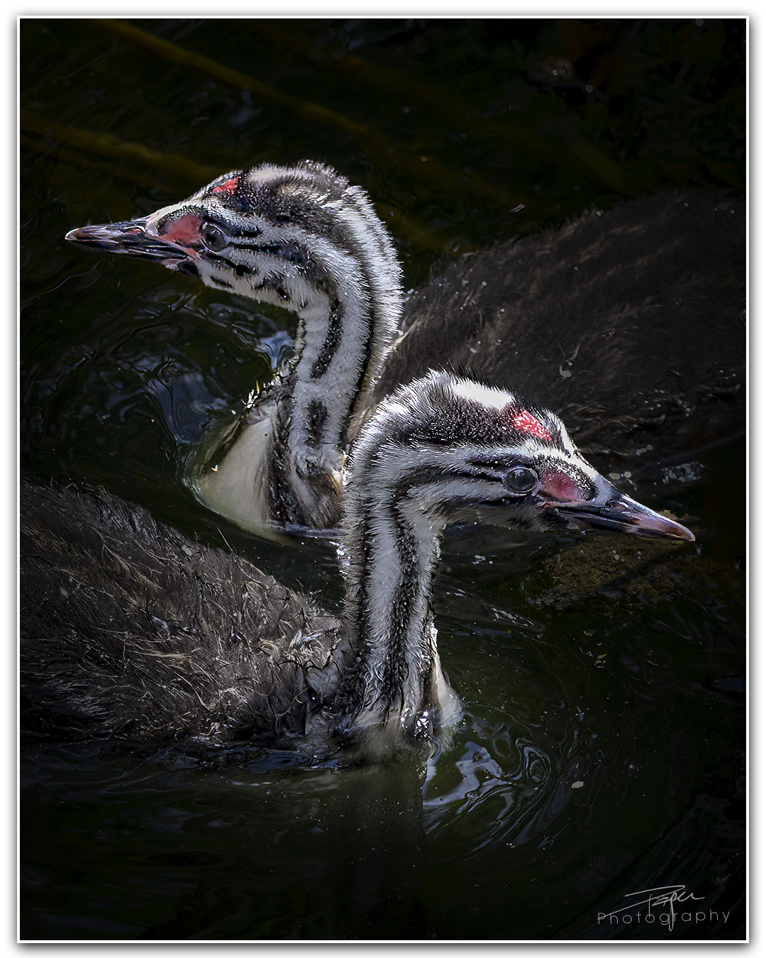 28.05.2024- Frühling