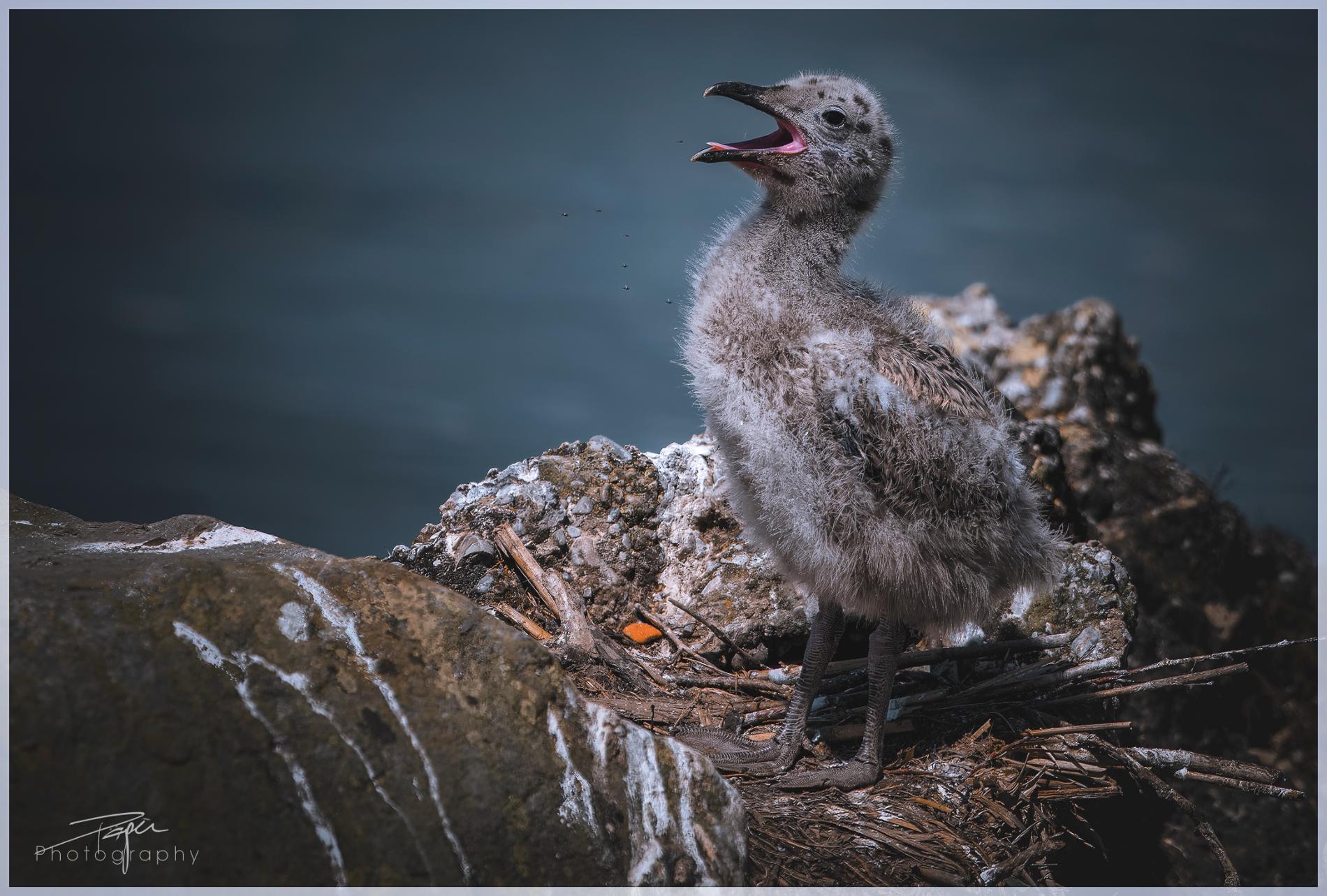 28.05.2024- Frühling