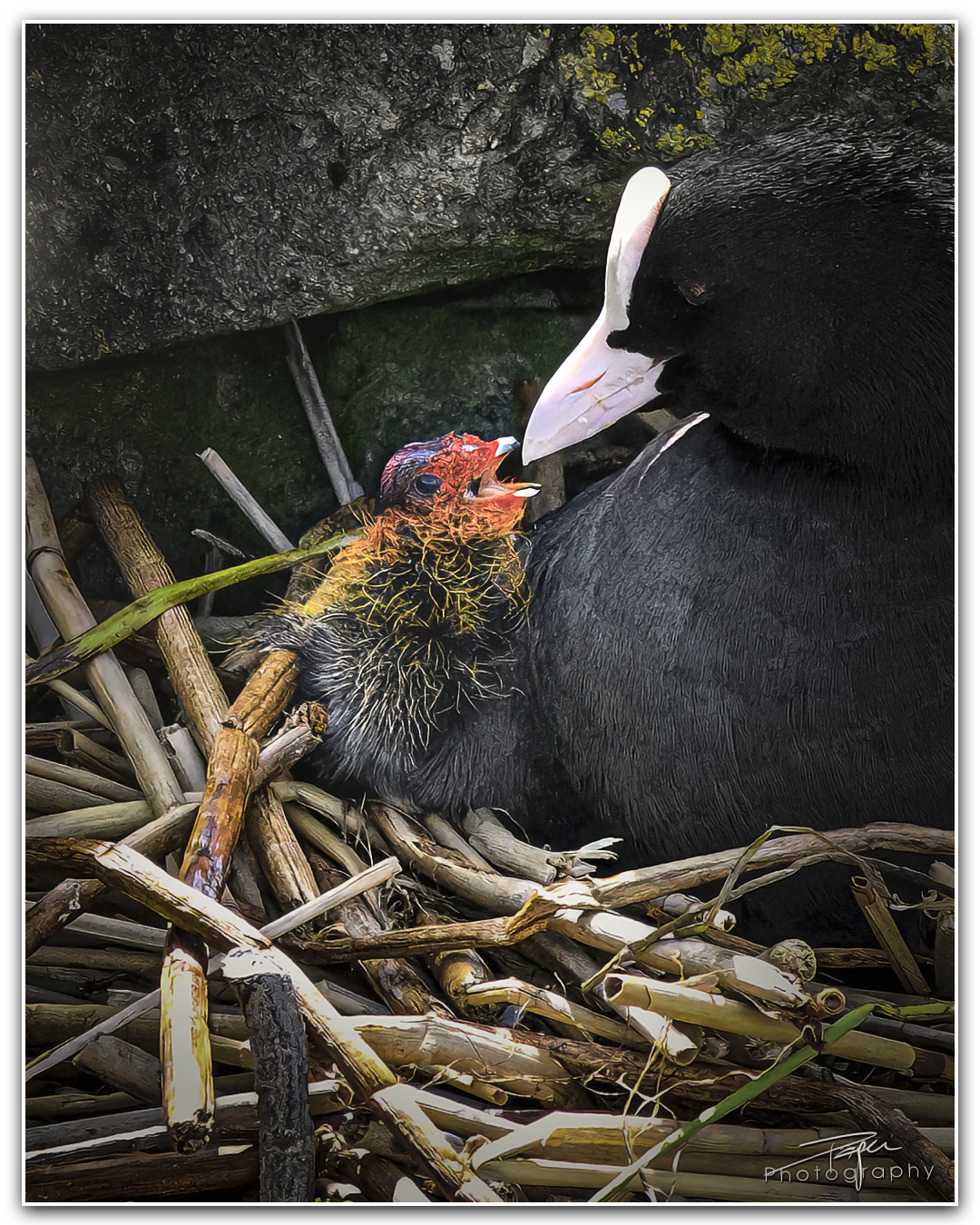 29.04.2024- Frühling