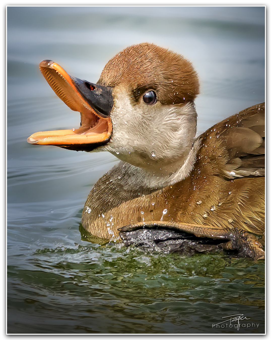 29.04.2024- Frühling