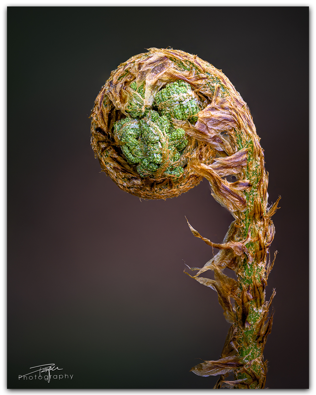 15.04.2024- Frühling