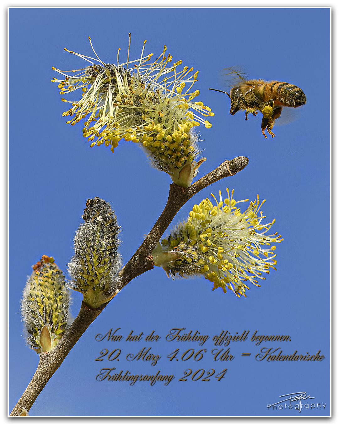 01.03.2024- Frühling