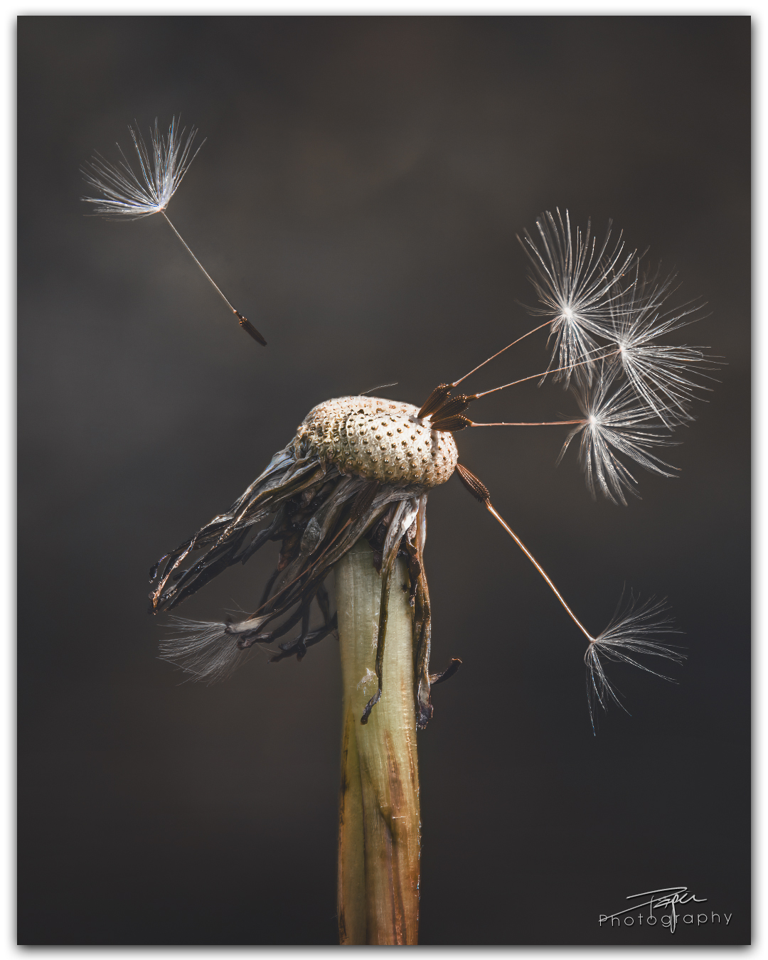 30.04.2024- Frühling