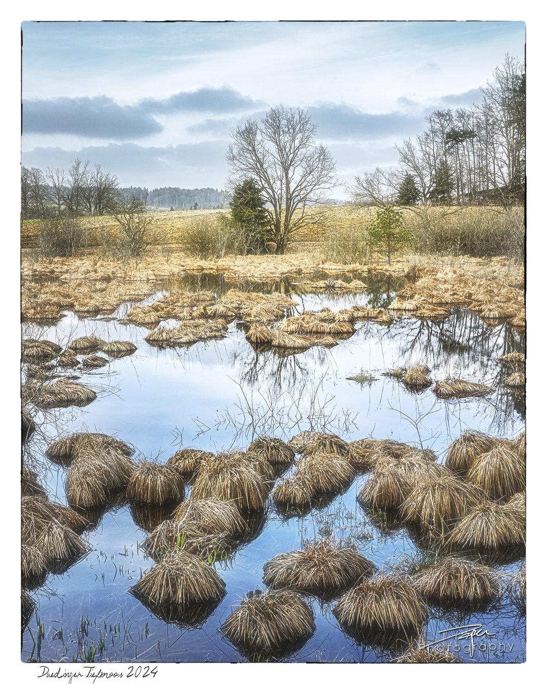 08.04.2024 - Frühling