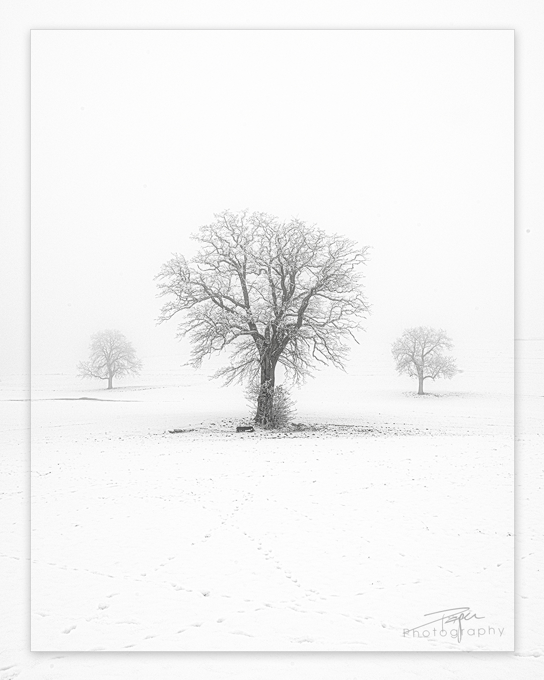 27.12.2024- Winter
