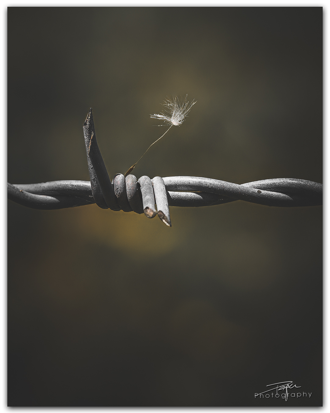  10.05.2024 - Frühling