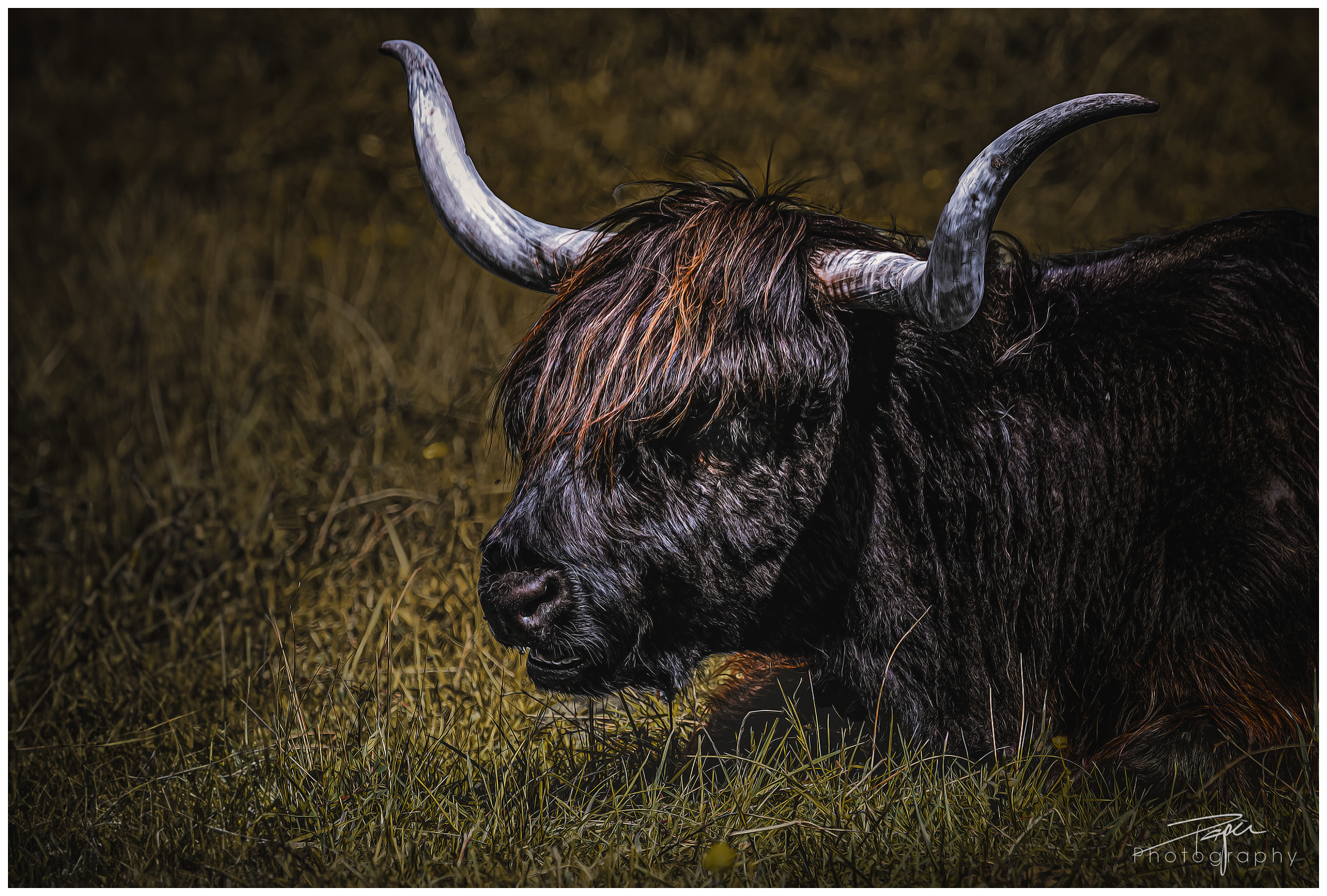  16.04.2024 - Frühling