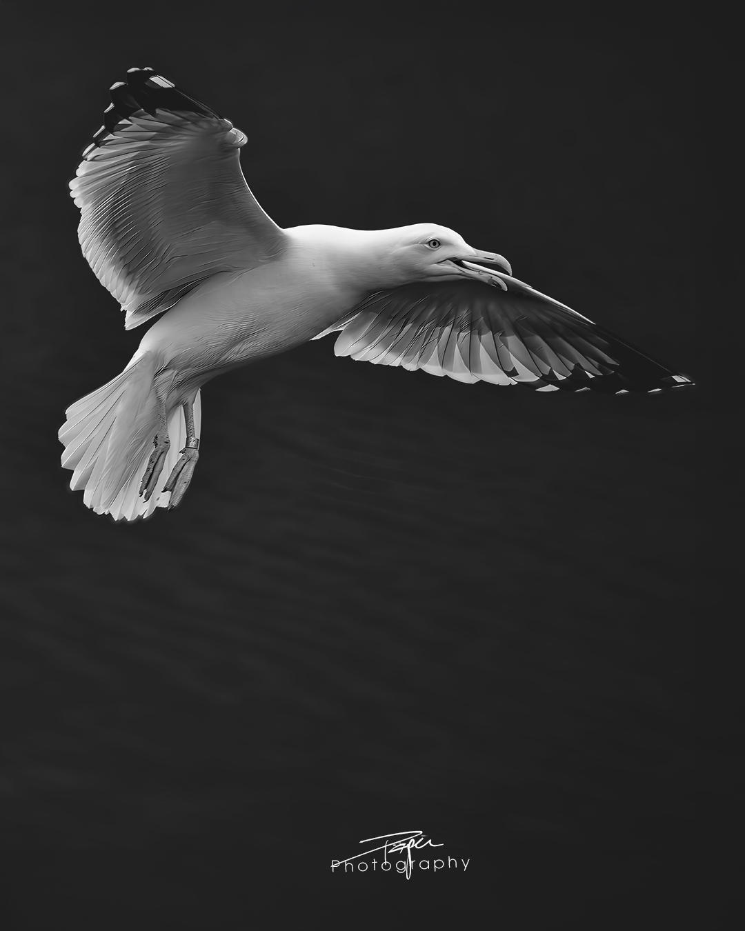  03.06.2025- Frühling