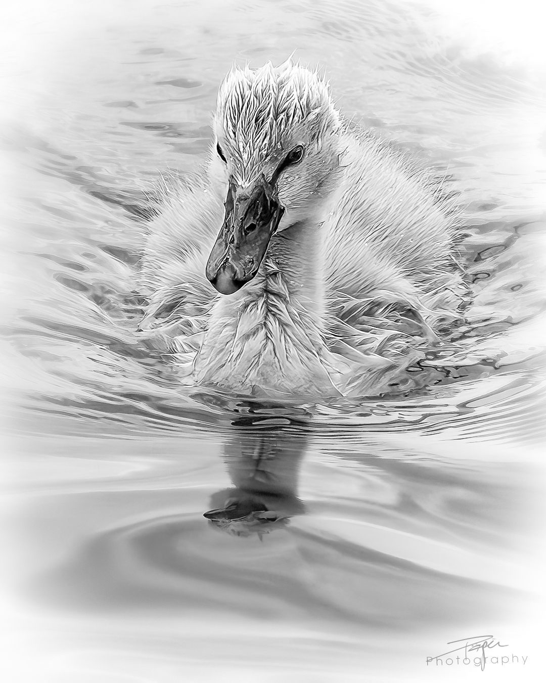  07.06.2025- Frühling