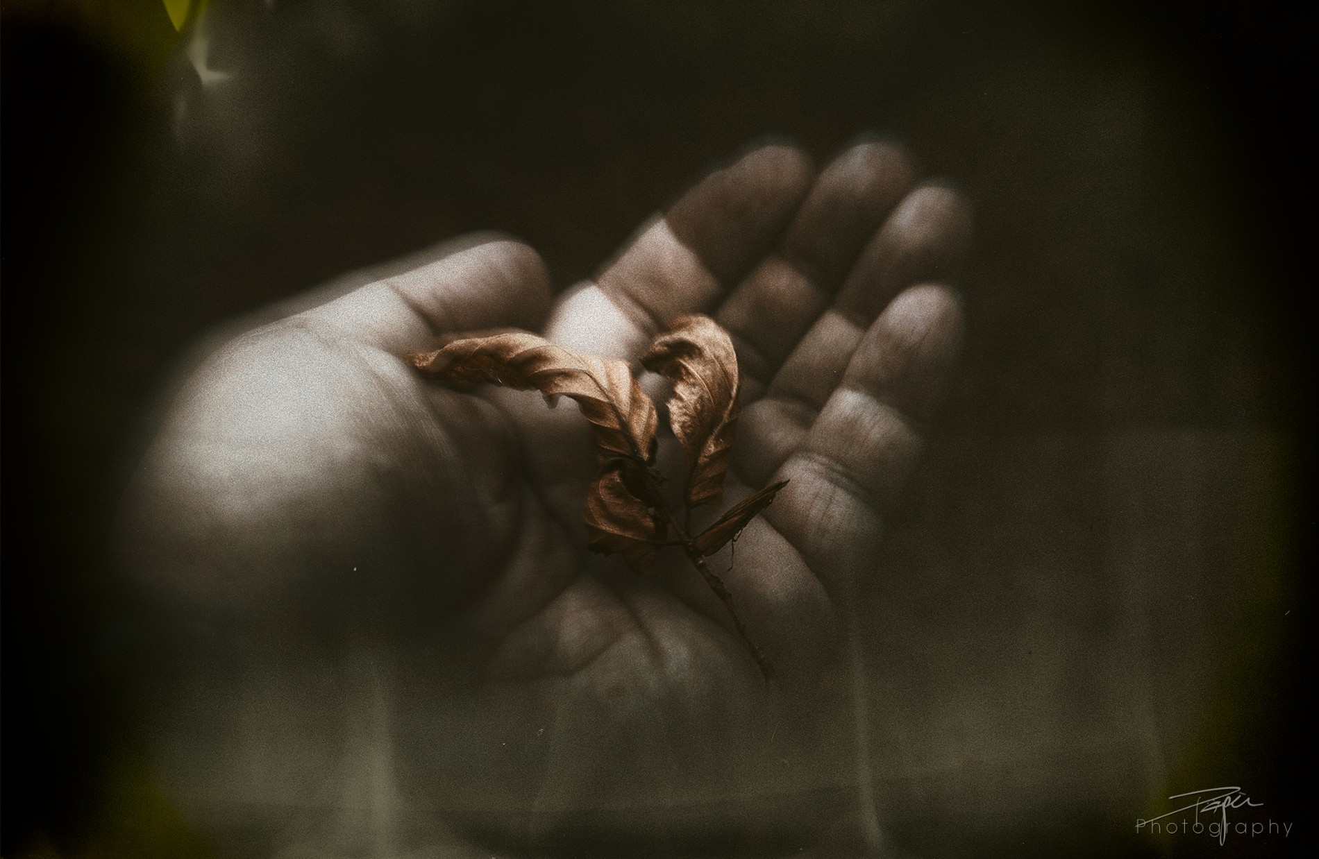 Erstellt -12.11.2025