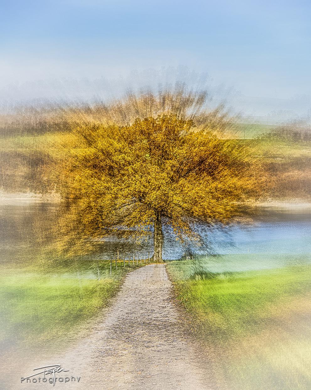 Erstellt -14.11.2025