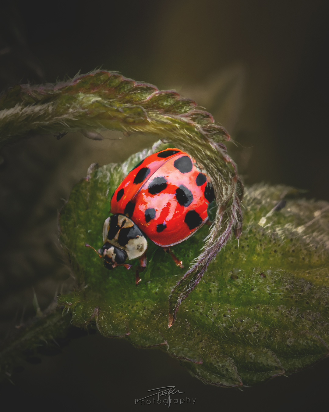 23.05.2025- Frühling