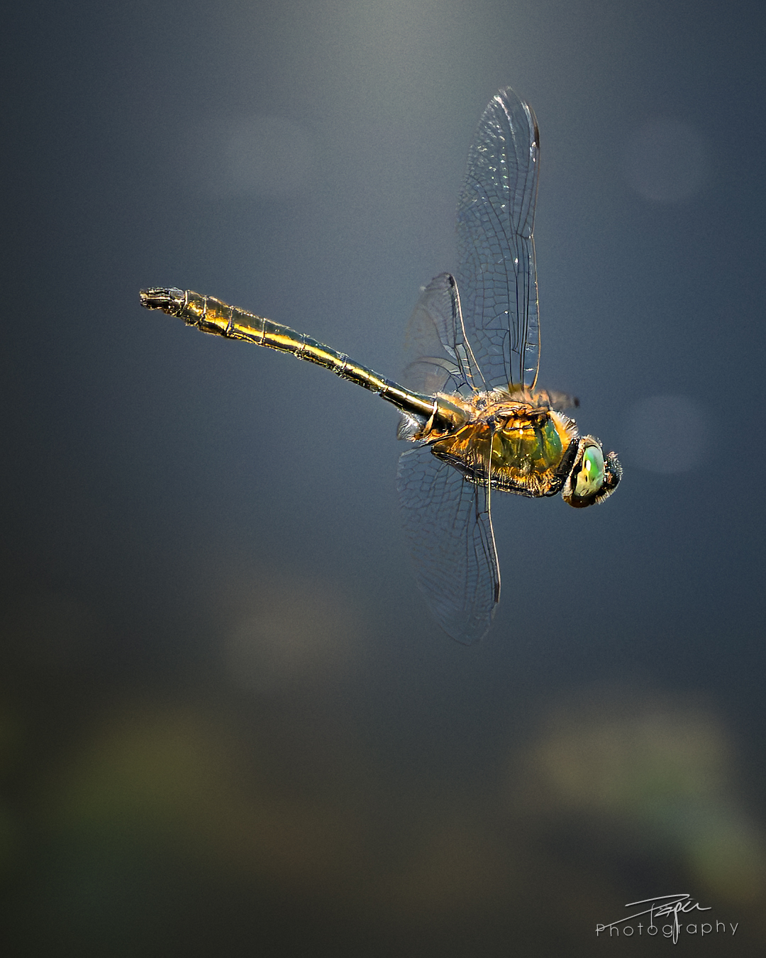 14.05.2025 - Frühling