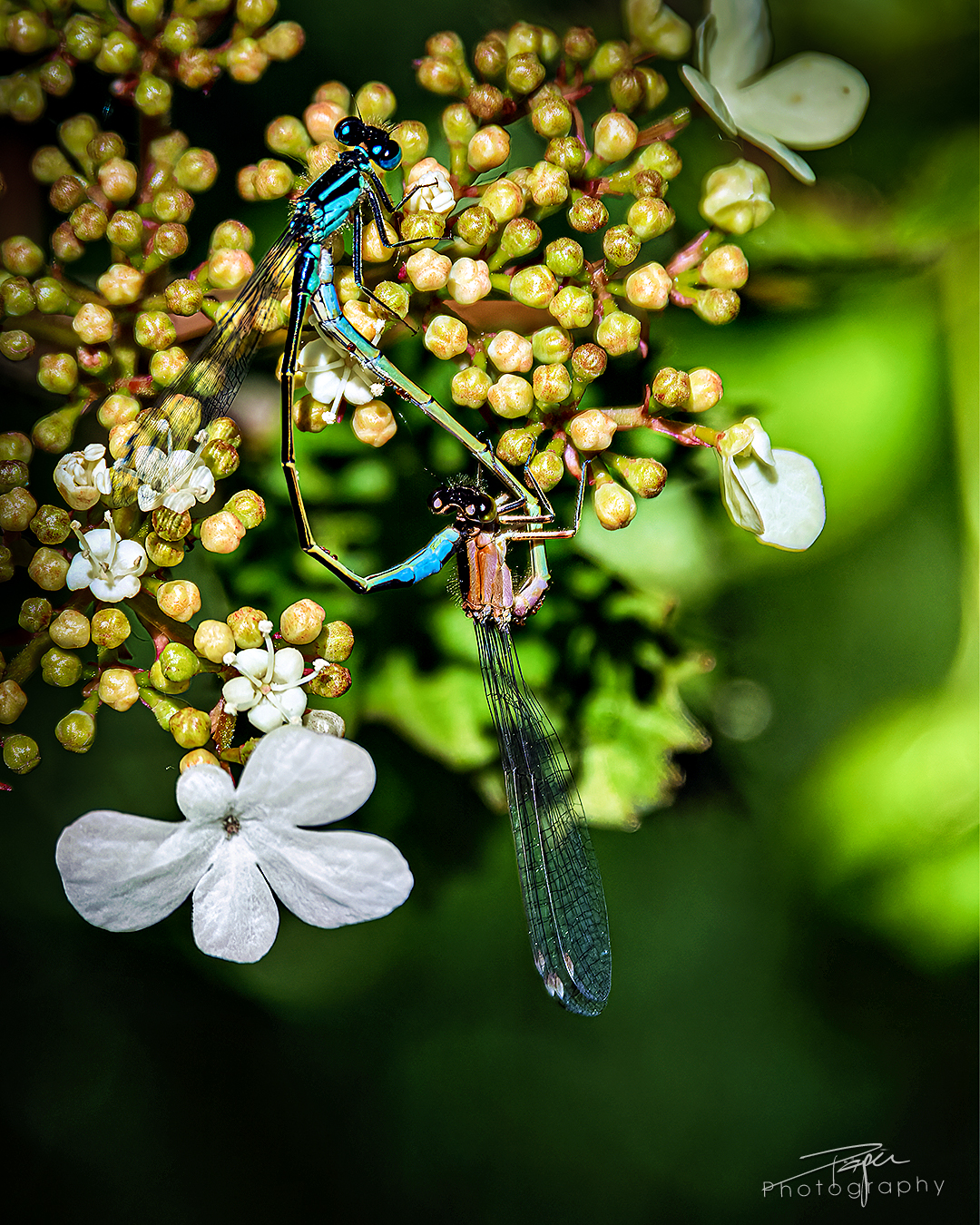 14.05.2025 - Frühling