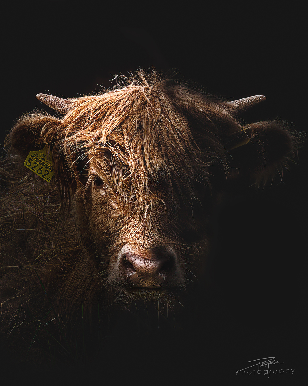 07.05.2025- Frühling