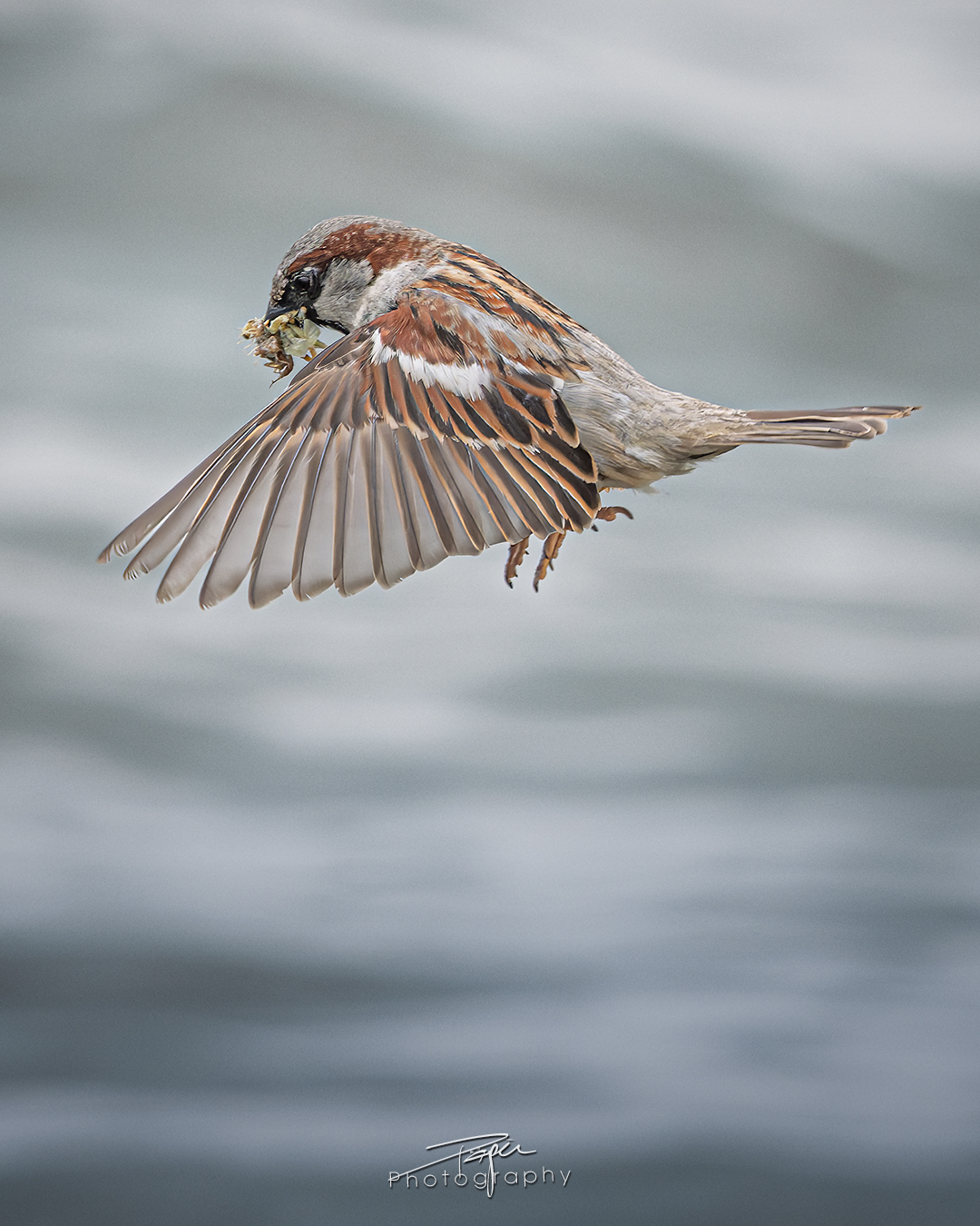 03.06.2025- Frühling
