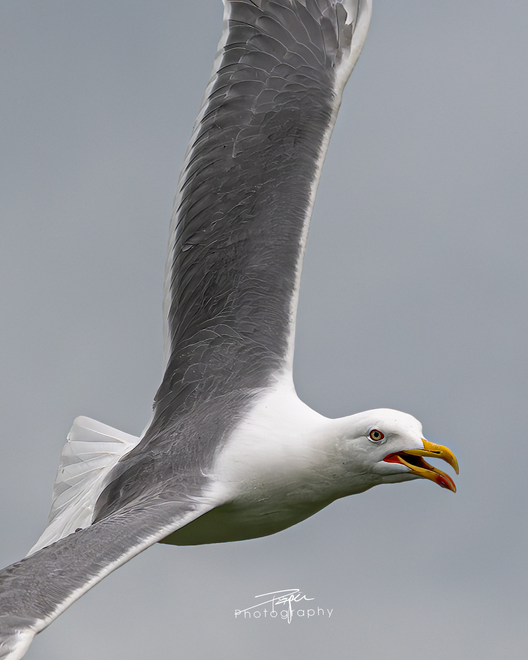 03.06.2025- Frühling