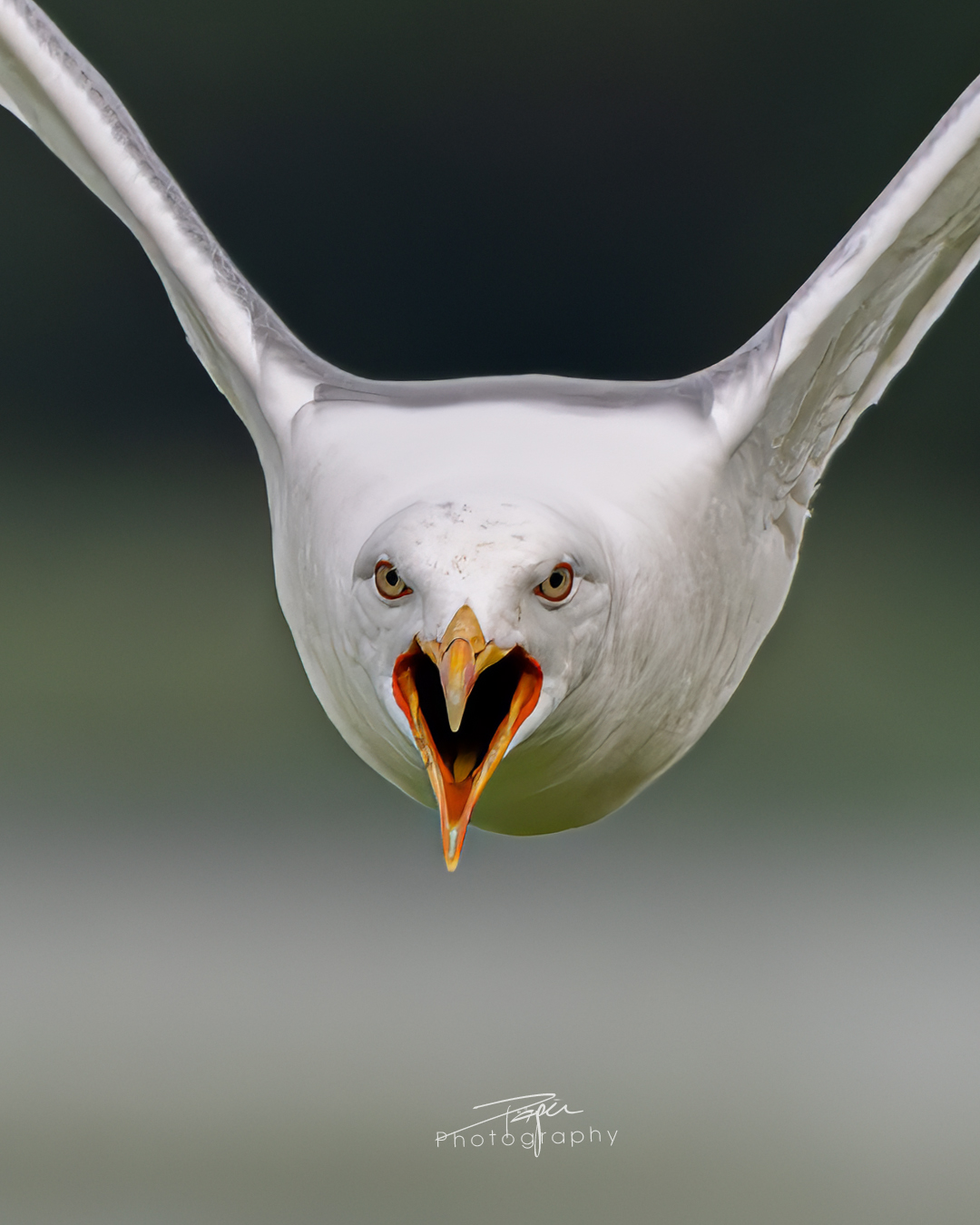 03.06.2025- Frühling