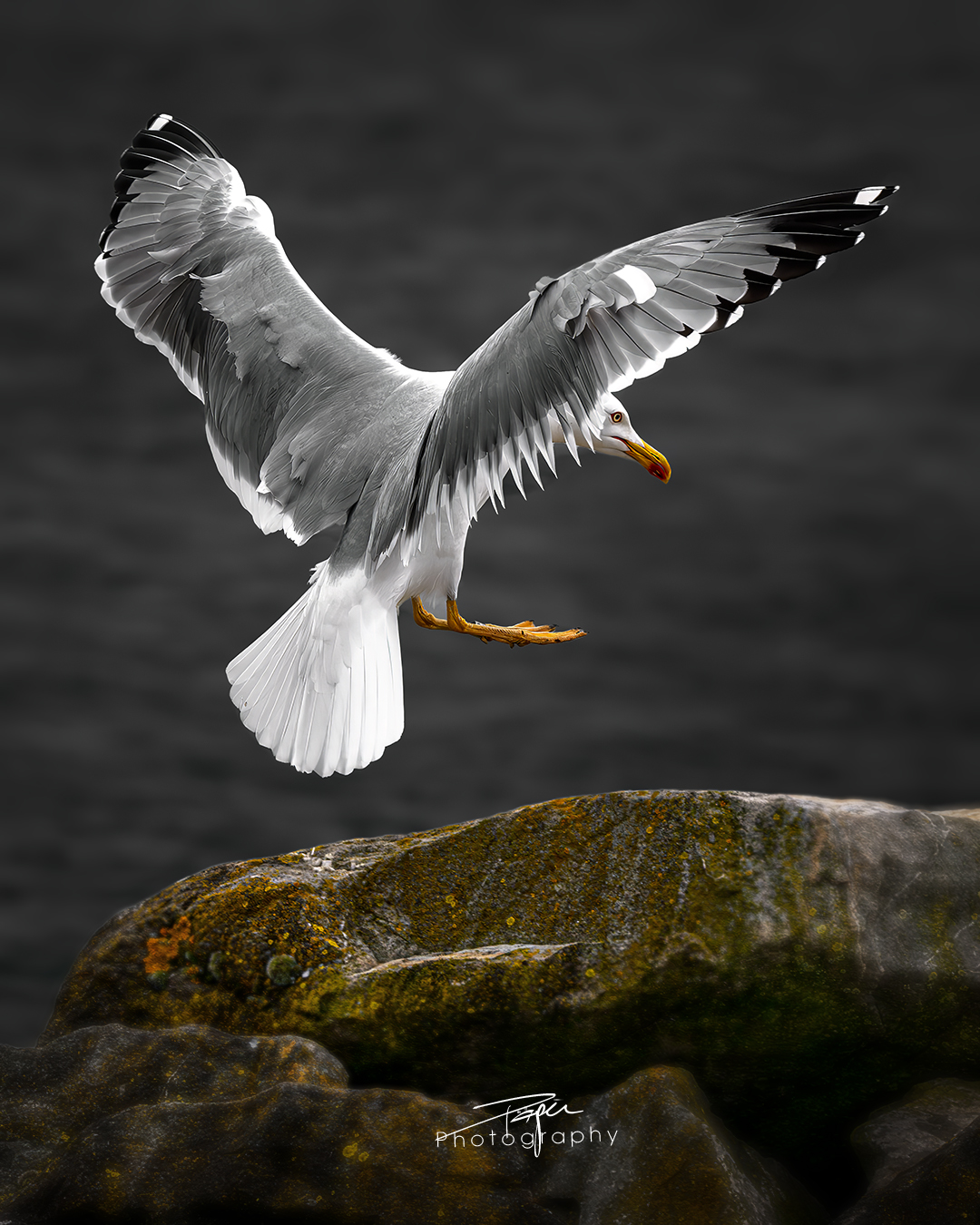 03.06.2025- Frühling