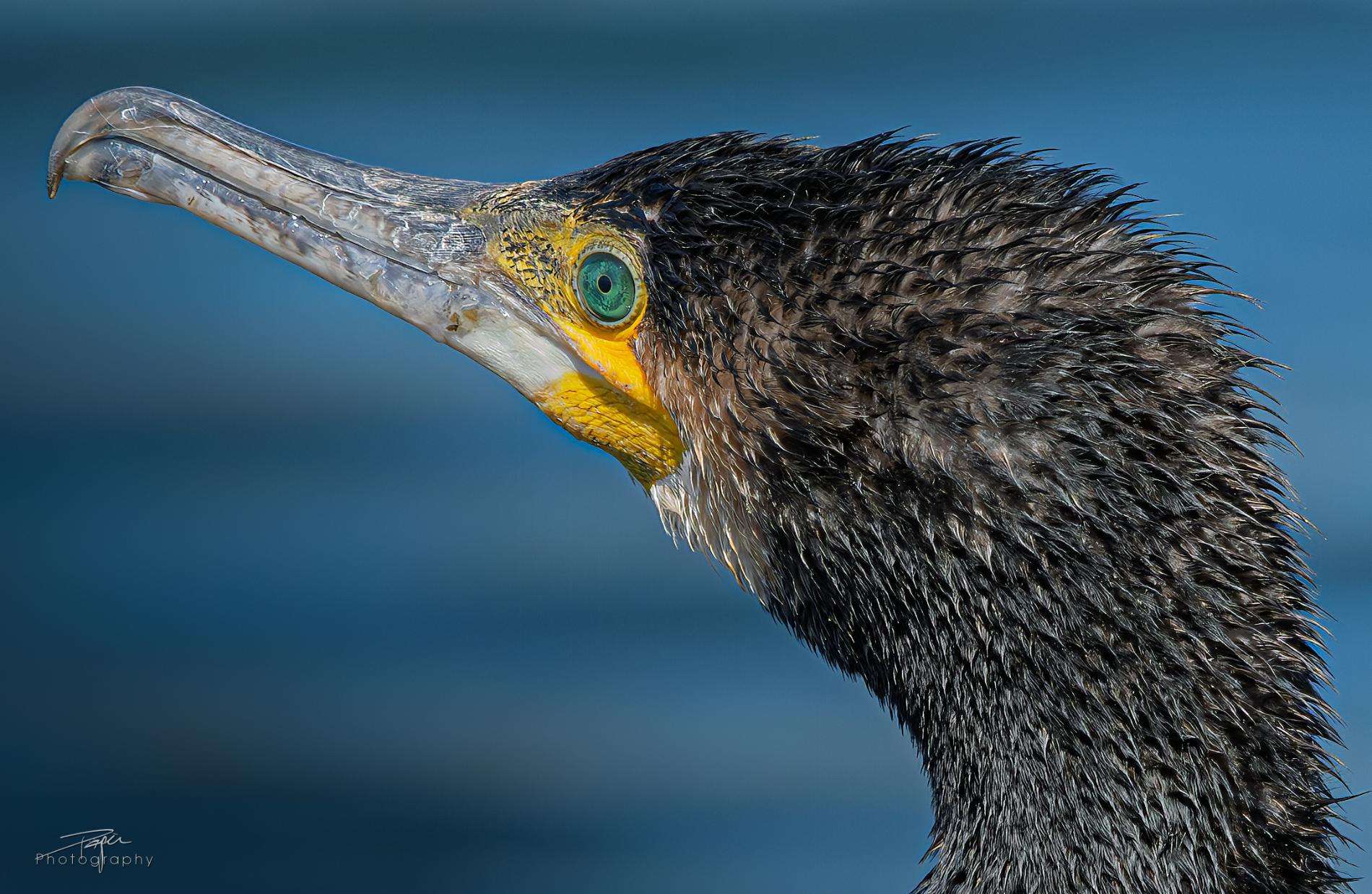07.04.2025- Frühling