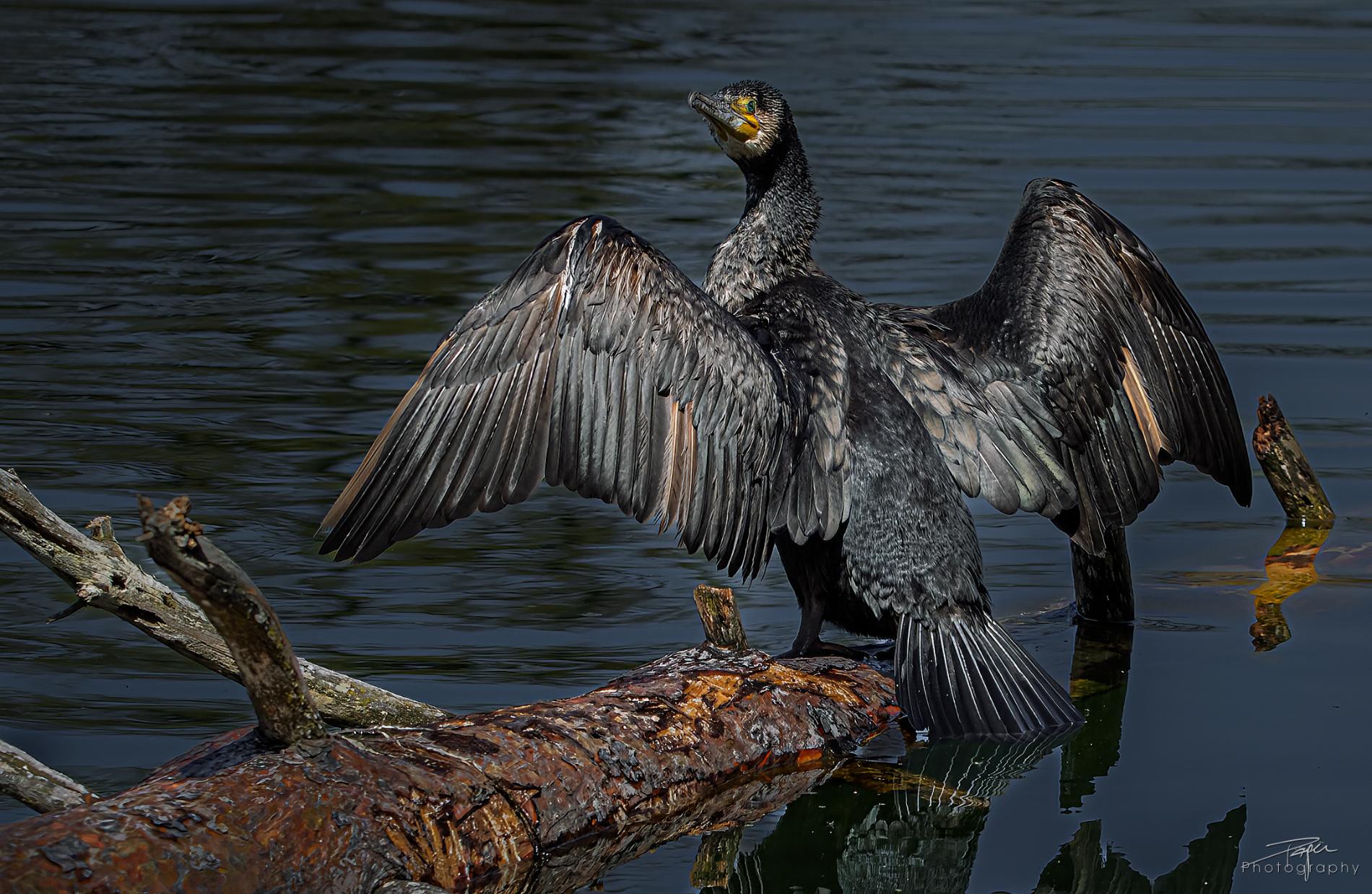 07.04.2025- Frühling