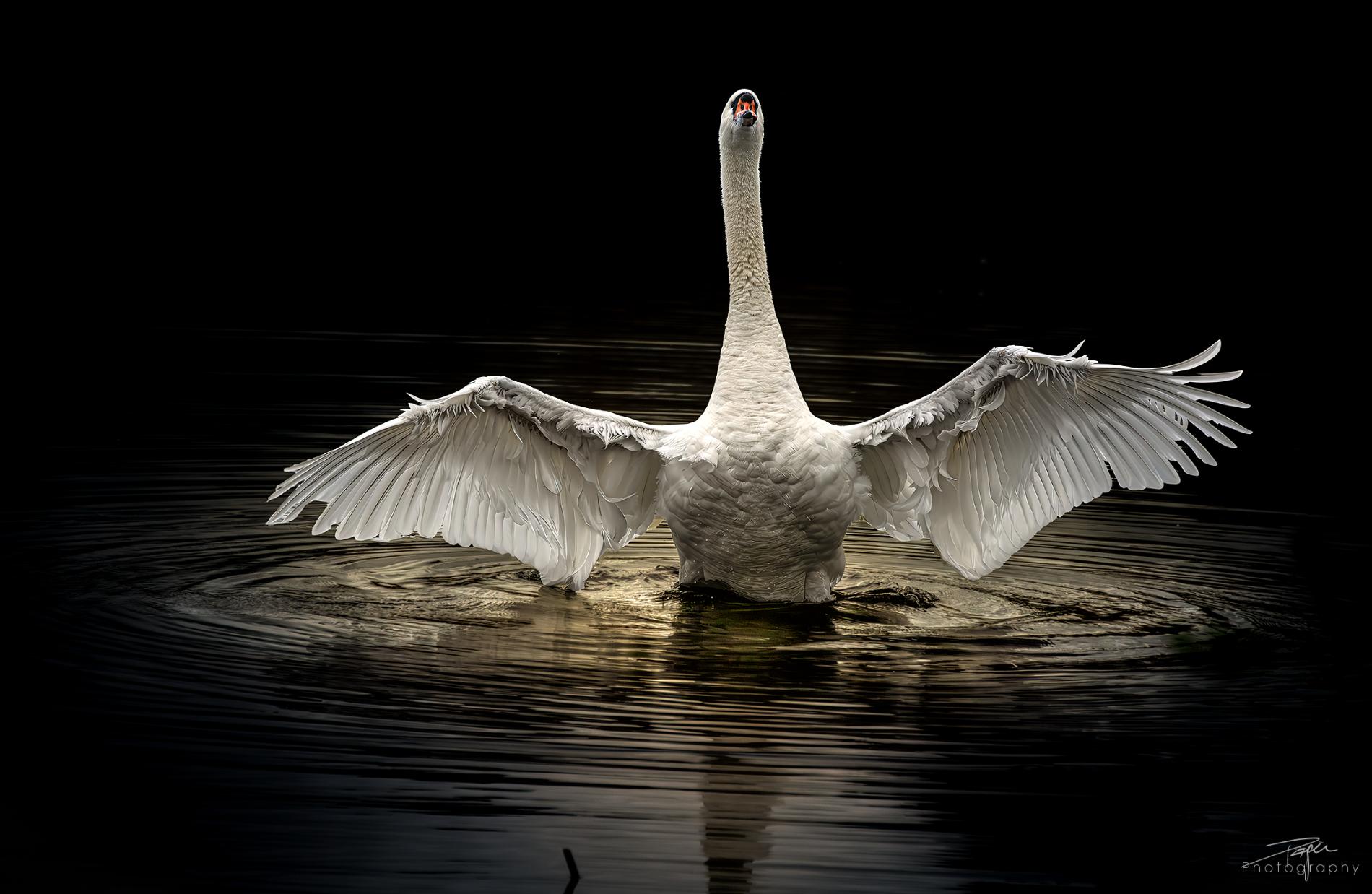 17.04.2025- Frühling