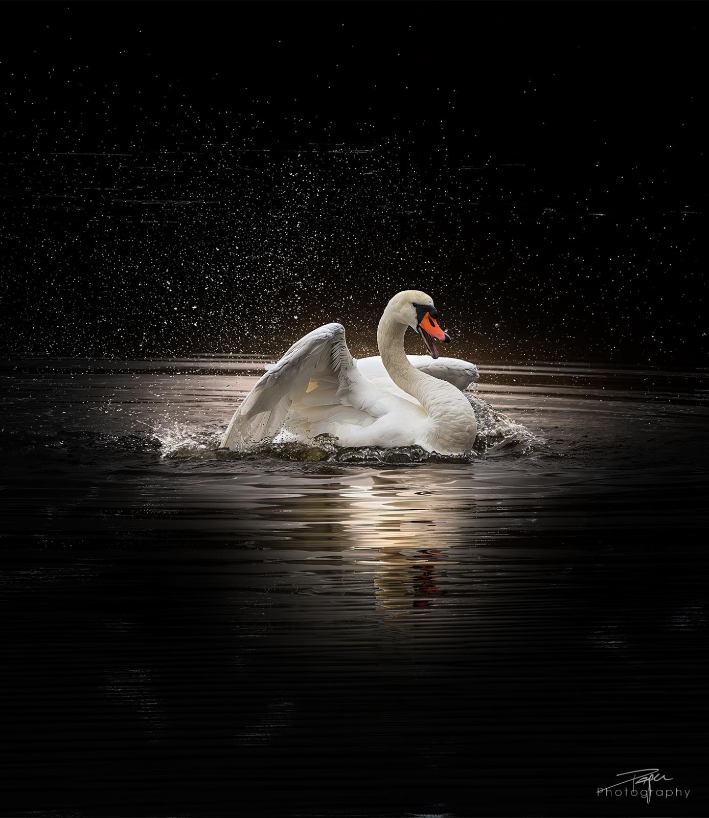 17.04.2025- Frühling