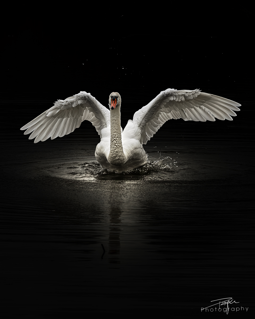 17.04.2025- Frühling